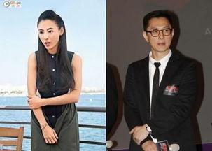 叶伟信八卦,揭秘影视圈背后的八卦风云 第3张 叶伟信八卦,揭秘影视圈背后的八卦风云 第3张