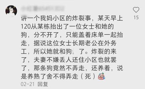 农村的八卦就是多,揭秘乡间趣闻与民间传说  第3张